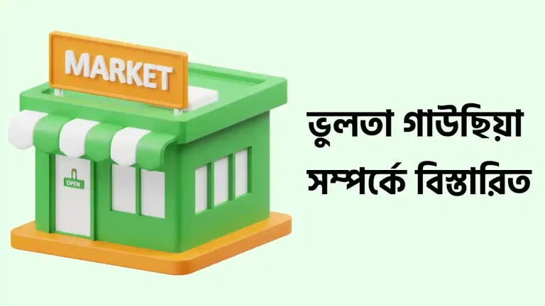 ভুলতা গাউছিয়া মার্কেট